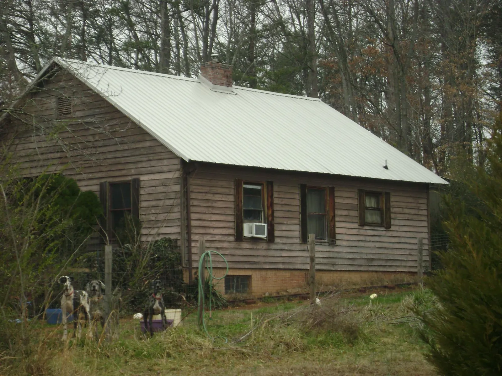 White metal roof on an old wood sided farmhouse, from a Asphalt Shingle Roof Repair job in Santa Claus